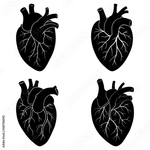 Four anatomical heart illustrations in black and white showing arteries and veins in detailed drawings