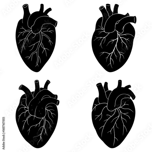 Four anatomical heart illustrations in black and white showing veins and arteries in detail and organic shape
