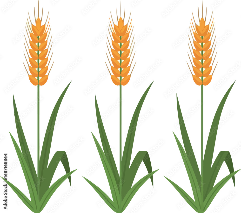 Φωτογραφία Golden wheat stalks harvest growth nature agriculture field organic food ingredi
