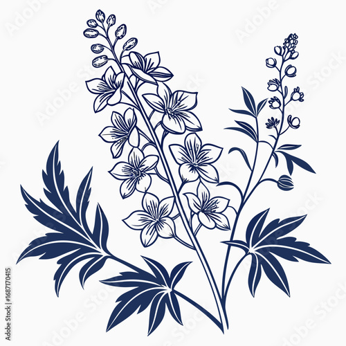 Classic Monochrome Botanical Drawing of a Wild Larkspur Flower and Leaves on a White Background