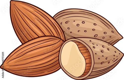 Organic almonds freshly harvested natural nut healthy food illustration vector