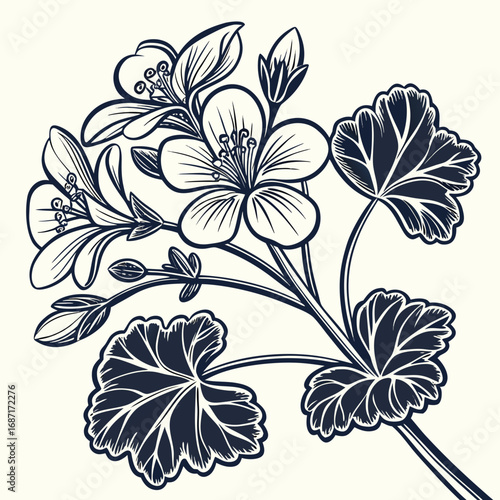 Elegant Botanical Illustration of a Geranium Branch