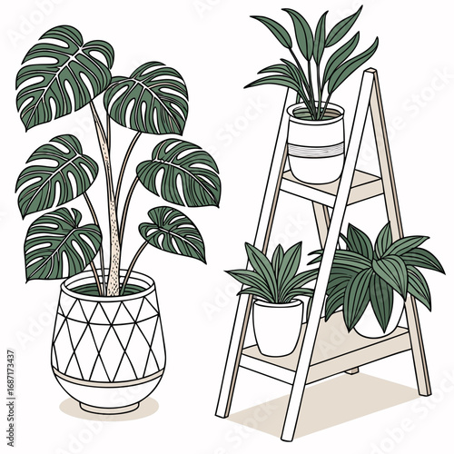A collection of potted houseplants including a large monstera deliciosa and smaller plants on a wooden ladder shelf