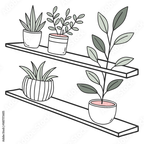 Charming illustration of potted houseplants displayed on two minimalist shelves with a clean white background