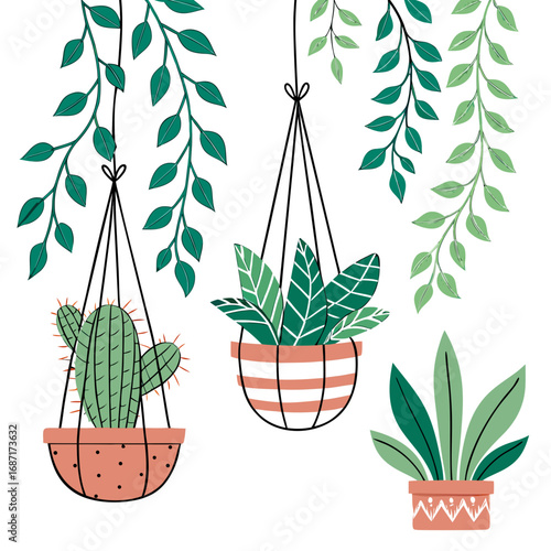 Collection of hanging and potted houseplants with lush green foliage and decorative pots on white background