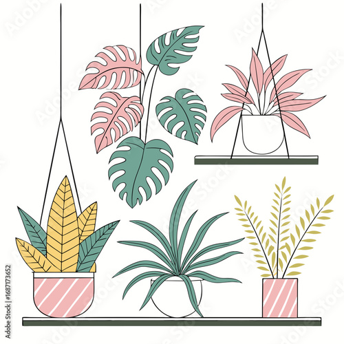 Collection of hanging and potted houseplants with monstera leaves in pastel colors on white background
