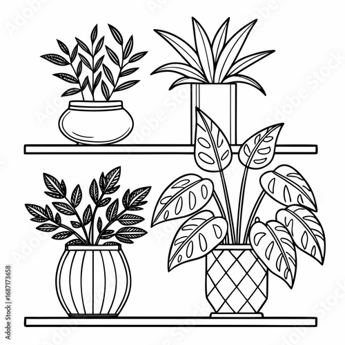 Clean line art illustration of four potted houseplants arranged on two shelves against a white background