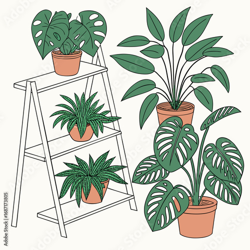 Collection of potted houseplants including monstera and other green leafy plants on a white shelf