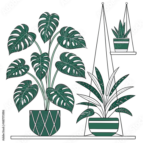 Collection of stylized green houseplants in decorative pots on shelves and hanging planters