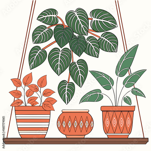 Collection of three potted houseplants with decorative patterned pots displayed on a wooden shelf