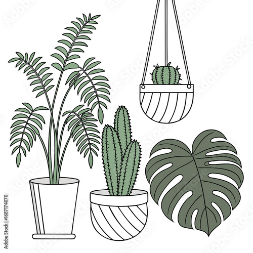 Collection of stylized potted houseplants including a palm cactus hanging cactus and monstera leaf