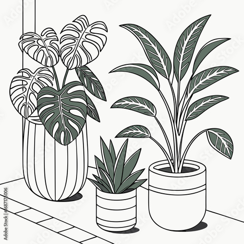 Stylized illustration of three potted houseplants including a monstera deliciosa and a calathea on a clean white background