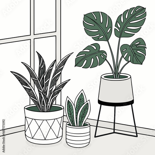 Stylized illustration of three potted houseplants with distinct leaf patterns and modern planters near a window