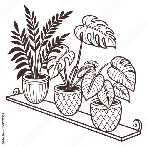 Stylized line art illustration of three potted houseplants on a shelf with decorative scrollwork