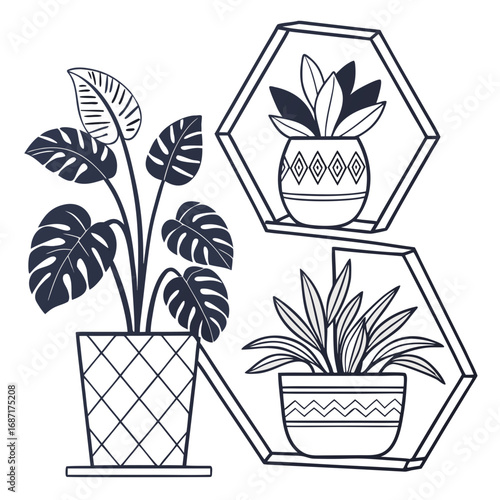 Stylized line art illustration of three potted houseplants on geometric shelves against a white background