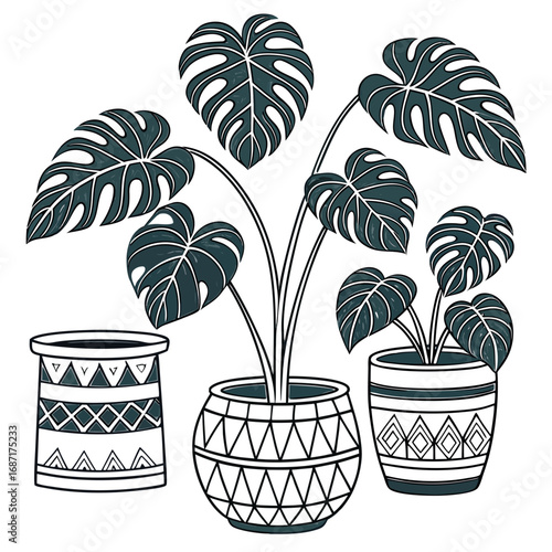 Stylized monstera deliciosa plants in decorative patterned pots on a white background