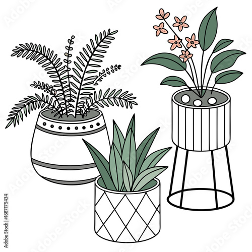 Three potted houseplants with stylized leaves and delicate flowers in decorative planters on white background
