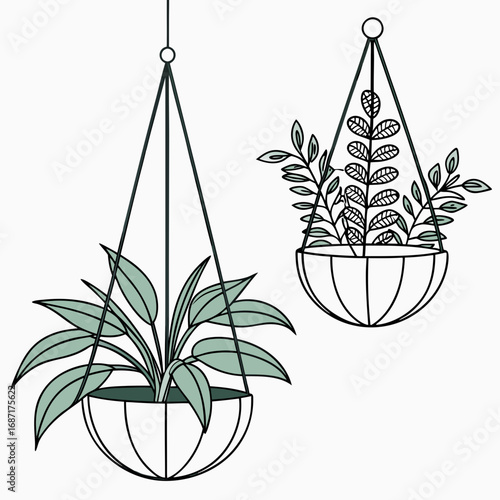 Two minimalist line art hanging planters with green foliage plants against a white background