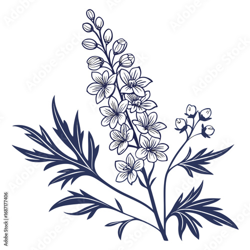 Elegant Delphinium Flower Botanical Illustration