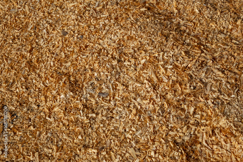 Close-up, textured pile of fresh wood shavings & sawdust. Byproduct of log house construction, used for mulch or animal bedding.