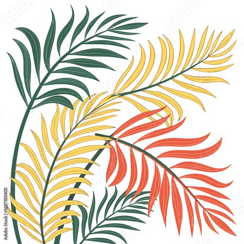 Colorful tropical palm leaves isolated on white background