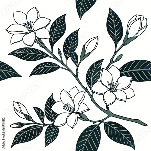 Elegant Magnolia Blossom Botanical Illustration