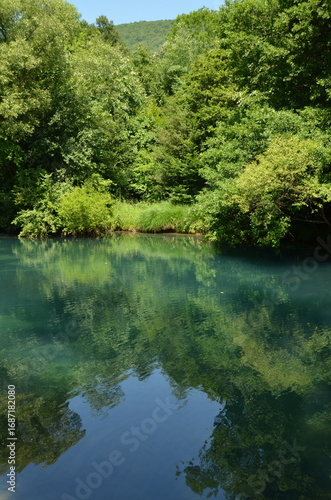 lake in the forest