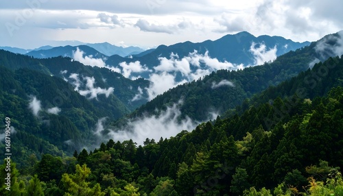 Misty mountain range