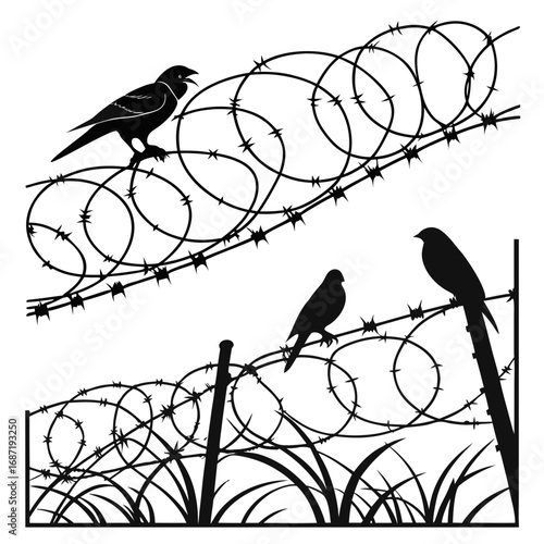 Silhouettes of birds perched on barbed wire fences with grass at the bottom representing freedom and confinement in a stark black and white graphic