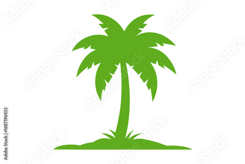 palm tree vector illustration