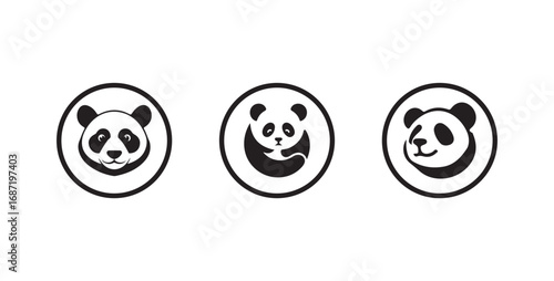 Panda bear cartoon Vector icon isolated on white background,  wildlife animal symbol, vector illustration eps 10.