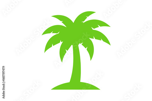 palm tree vector illustration
