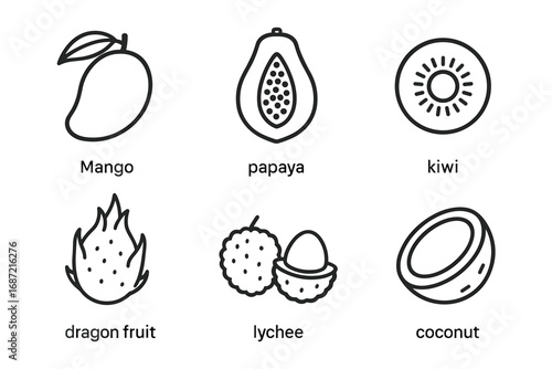 Illustrated icons of tropical fruits: mango, papaya, kiwi, dragon fruit, lychee, coconut