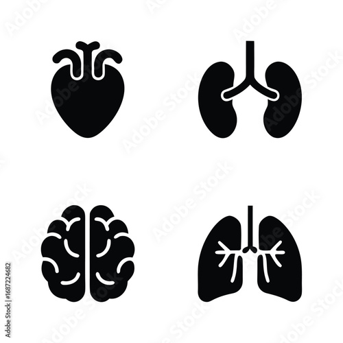 Black icons of human heart brain lungs and kidneys on white background vector