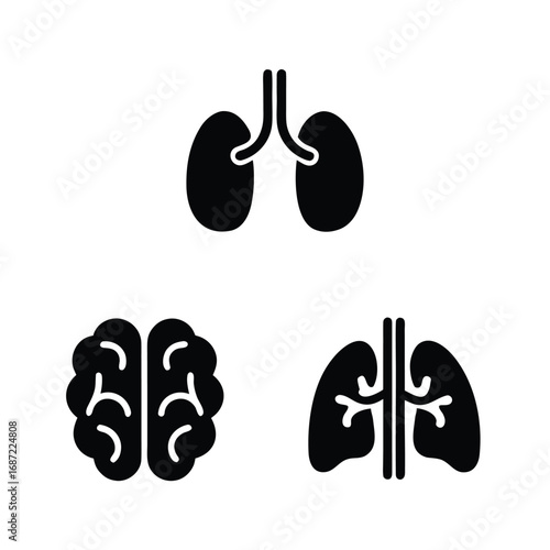 Black silhouette icons of human brain and lungs on white background organ body