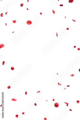 Fluttering Red Rose Petals vertical frame