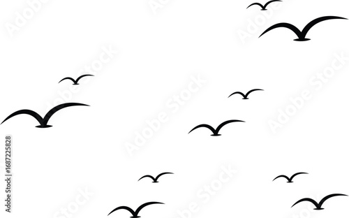 A flock of birds takes flight against a bright, clear sky, symbolizing freedom and new beginnings.
