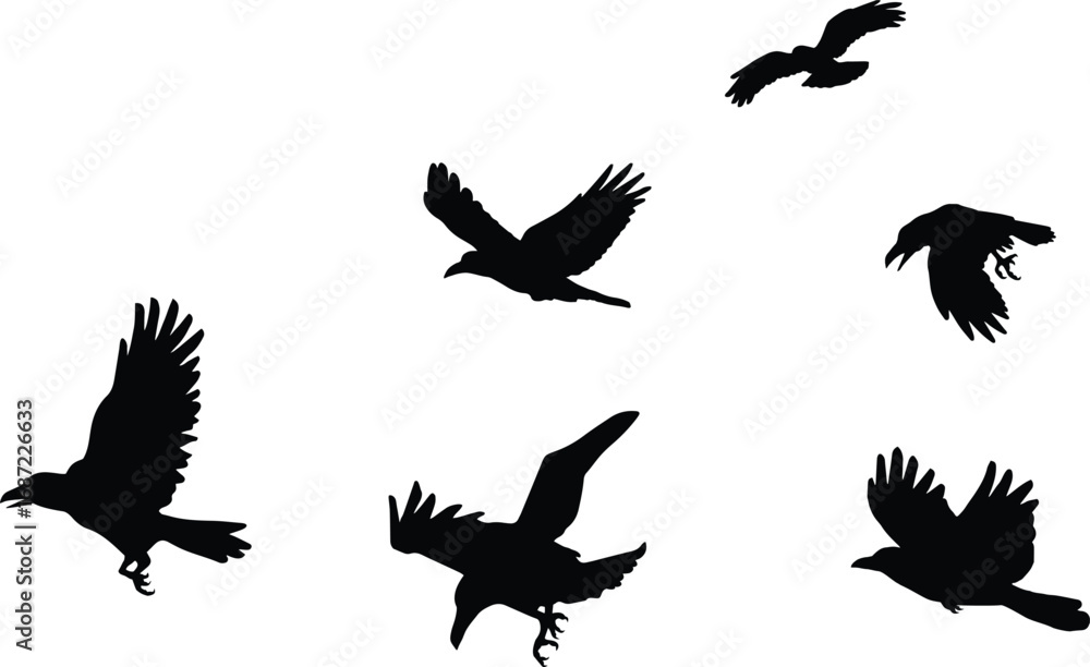 Obraz premium Silhouettes of birds in flight against a white background, creating a sense of freedom and movement