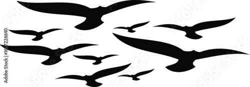 A flock of black birds soaring gracefully across a white sky, embodying freedom and movement.