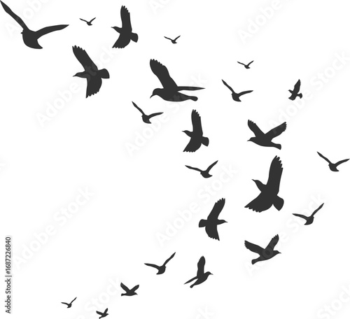 Flock of birds soaring gracefully across a vast, open sky, symbolizing freedom and migration.