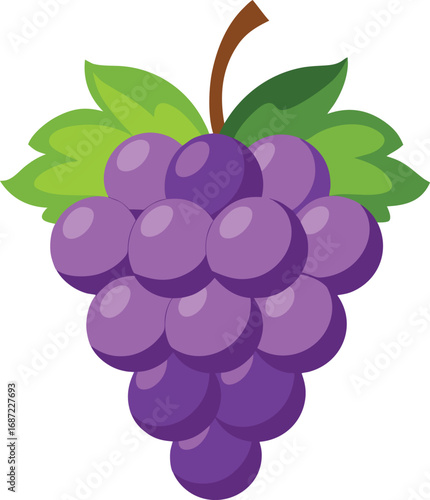 Illustration of a Bunch of Purple Grapes with Green Leaves and Brown Stem