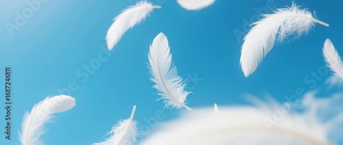 A single, white feather softly floats on a clear blue sky