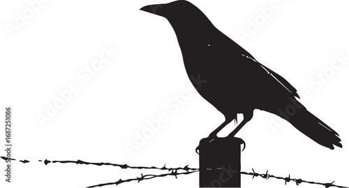 Silhouette of a crow perched on barbed wire post in stark contrast
