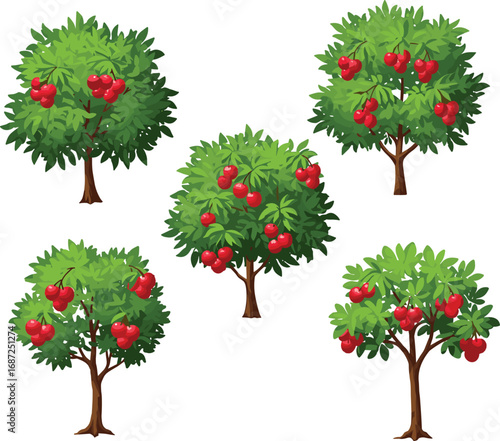 Cartoon apple trees illustration, green foliage with red apples, orchard nature scene, fruit harvest concept, educational agriculture design, vector art background