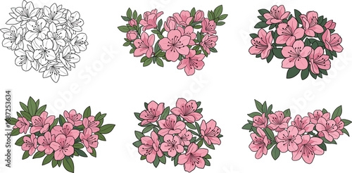 Azalea flower illustration set, pink floral vector, botanical artwork, seasonal garden design, nature elements, stylized blossoms, minimal foliage, spring plant graphics, decorative theme