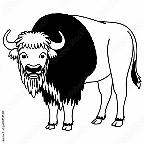 Illustration of a black and white bison with horns and a shaggy mane standing on four legs facing forward