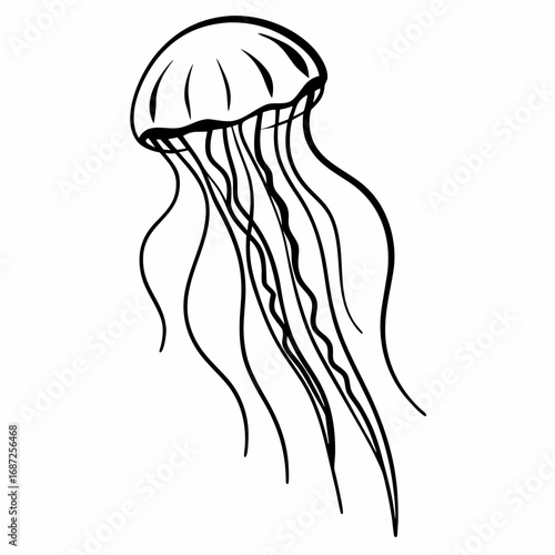 A simple black and white line drawing of a jellyfish with flowing tentacles on a white background image