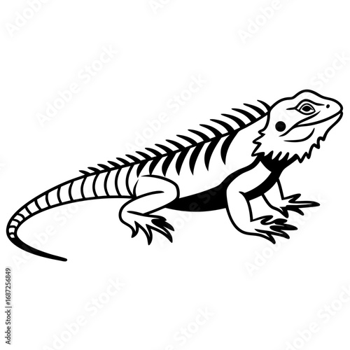 Illustration of a bearded dragon with spiky scales and a long tail in black and white outline style