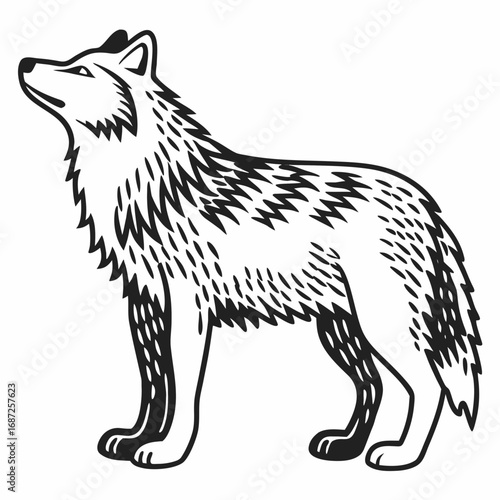 Stylized illustration of a standing wolf with detailed fur looking upward in black and white design