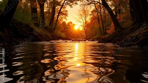 Golden sunset illuminating a flowing forest stream with warm reflections on the water.